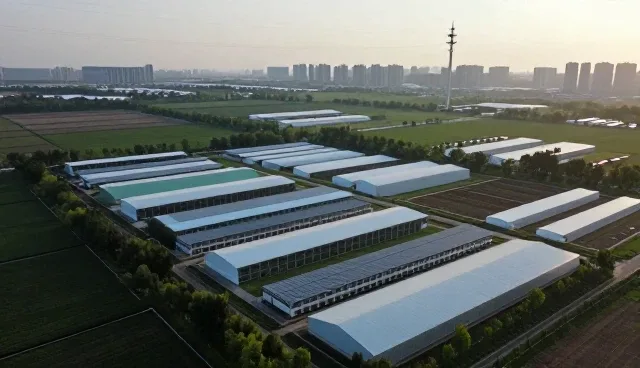 流程优化如何推动企业管理的精细化转型